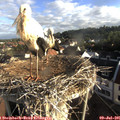 07_25-nest.jpg