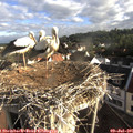 07_35-nest.jpg