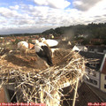 07_40-nest.jpg