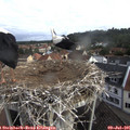 08_15-nest.jpg