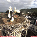 08_40-nest.jpg