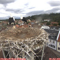 10_00-nest.jpg