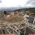 10_30-nest.jpg