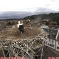 10_35-nest.jpg