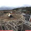 10_40-nest.jpg