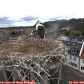 11_45-nest.jpg