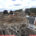 13_25-nest.jpg