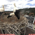 14_00-nest.jpg