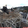 14_10-nest.jpg
