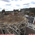 14_40-nest.jpg
