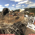 16_10-nest.jpg