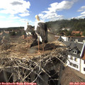17_05-nest.jpg