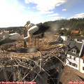 17_40-nest.jpg
