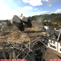 17_45-nest.jpg