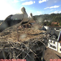 18_05-nest.jpg
