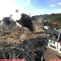18_15-nest.jpg