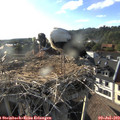 18_45-nest.jpg