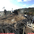 18_50-nest.jpg