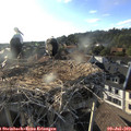18_55-nest.jpg