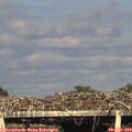 19_05-mast.jpg