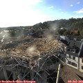 19_10-nest.jpg