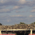 19_15-mast.jpg