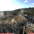 19_15-nest.jpg