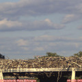 19_20-mast.jpg