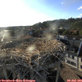 19_25-nest.jpg