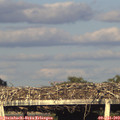 19_35-mast.jpg