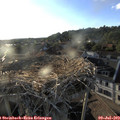 19_35-nest.jpg