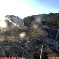 20_05-nest.jpg
