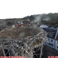05_40-nest.jpg