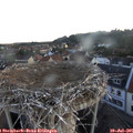 05_45-nest.jpg