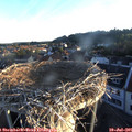 06_05-nest.jpg