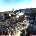 06_25-nest.jpg