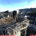 06_35-nest.jpg