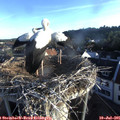 06_40-nest.jpg