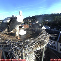 07_05-nest.jpg