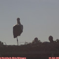07_45-mast.jpg