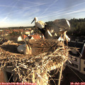 07_55-nest.jpg