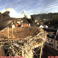 08_05-nest.jpg