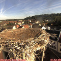 08_15-nest.jpg