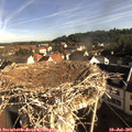 08_25-nest.jpg
