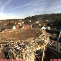 08_30-nest.jpg