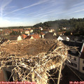 08_35-nest.jpg