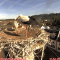 08_55-nest.jpg