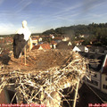 09_00-nest.jpg