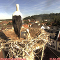 09_05-nest.jpg