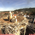 09_20-nest.jpg